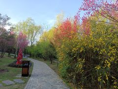 -贵阳市花溪国家城市湿地公园