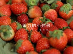-茶力的小怪兽(梅林卓悦汇店)