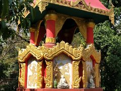 -瑞丽独树成林风景区