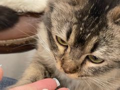 -共舞时光猫咖·狗咖(新街口店)
