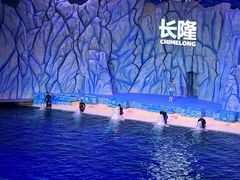 -珠海长隆海洋王国