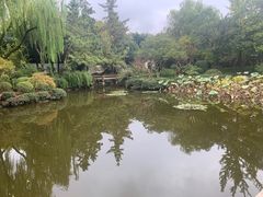 -秋霞圃