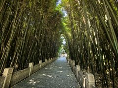 -采石矶景区