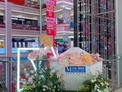 -红星美凯龙北京至尊MALL(东四环中路店)