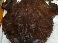 -南花桥羊肉馆老字号(乌镇店)