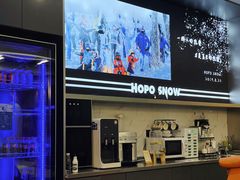 -Hopo Snow 城市滑雪空间(来福士广场购物中心店)