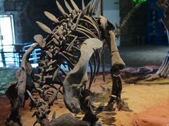 -自贡恐龙博物馆