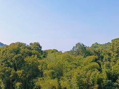 -广州市白云山风景名胜区