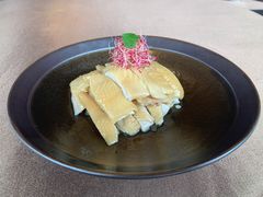 农村脆皮咸鸡-三利音·东方司宴(外滩店)