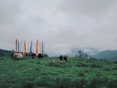 -硗碛藏寨·神木垒景区