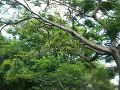 android_upload_pic-集美学村