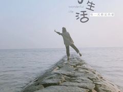 -东平国家森林公园
