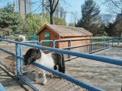 -长白岛森林公园