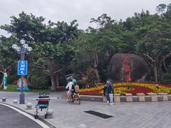 -野狸岛