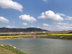 -光明小镇欢乐田园