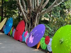 -曼听御花园