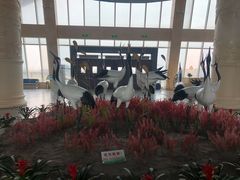 -盐城丹顶鹤湿地生态旅游区