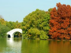 -上海海湾国家森林公园