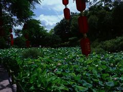 -广州莲花山旅游区