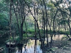 -玉渡山自然风景区