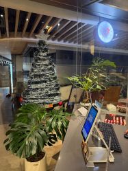 -菲·木田moontin造型salon