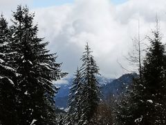 -硗碛藏寨·神木垒景区