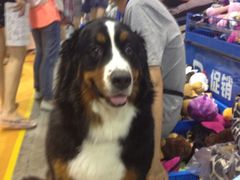 -东浩兰生上海世博展览馆