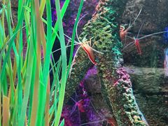 -沈阳海洋探索中心