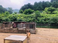 -北京山里寒舍度假酒店