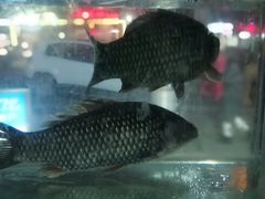 -亮亮蒸虾(石牌岭店)