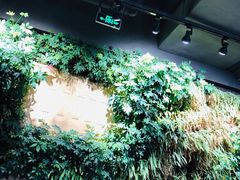 -COSTA COFFEE(西湖天地店)