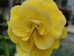 -常州花鸟园酒店(西太湖品牌优选店)