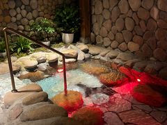 -漢頓温泉度假酒店