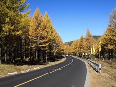 -塞罕坝国家级自然保护区