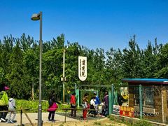 -北京麋鹿生态实验中心