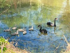 -长兴太湖图影湿地文化园