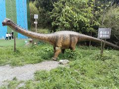 -武陵山森林公园