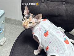 -咕噜咕噜宠物医院·CT·肿瘤科·骨科(前海院)