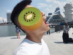 -鱼尾狮公园