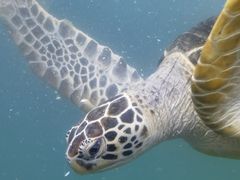 -青岛海底世界-水族馆