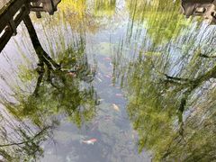 -闫府私房菜(恒隆店)