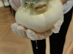 -肆月河豚·新淮扬(金融街店)