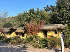 -杭州开元森泊度假乐园