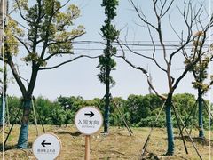 -嘉北郊野公园