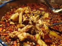 -蛙两只美蛙鱼头火锅(恒茂店)
