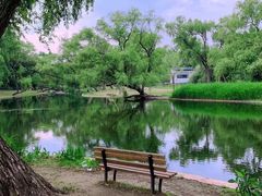 -上海共青森林公园