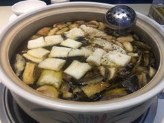 -爱膳菌锅锅(阳南店)