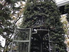 -三鹰之森吉卜力美术馆