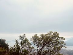 -梧桐山风景名胜区