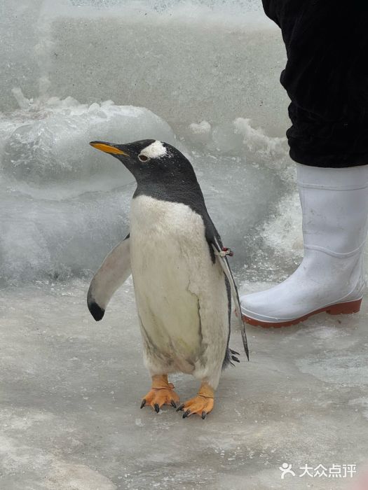 云台山风景名胜区图片
